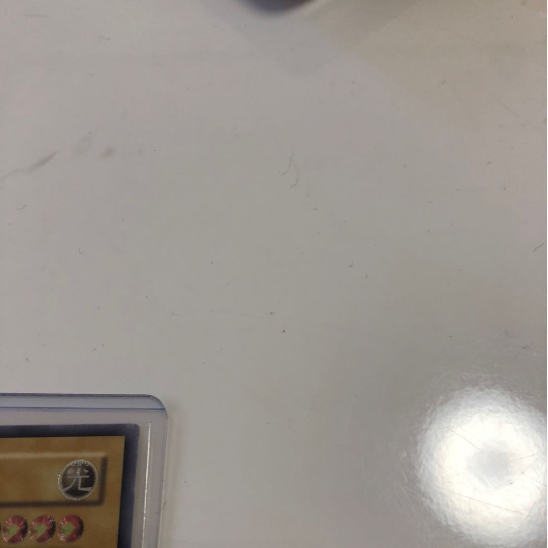 青眼の白龍　レリーフ　良品