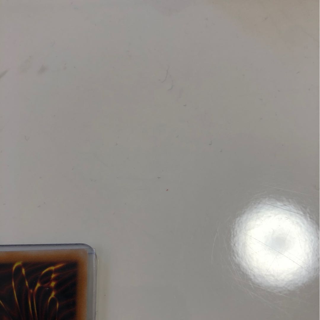 青眼の白龍　レリーフ　良品