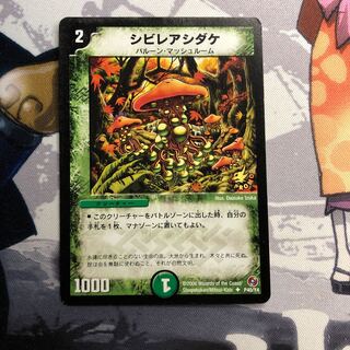 デュエルマスターズ　シビレアシダケ　プロモ　4枚 デュエマ】 シビレアシダケ(P40/Y4) 第4期/プロモ の買取・査定