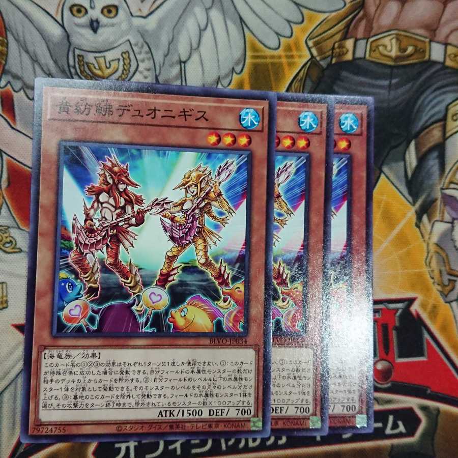 黄紡鮄デュオニギス ノーマル