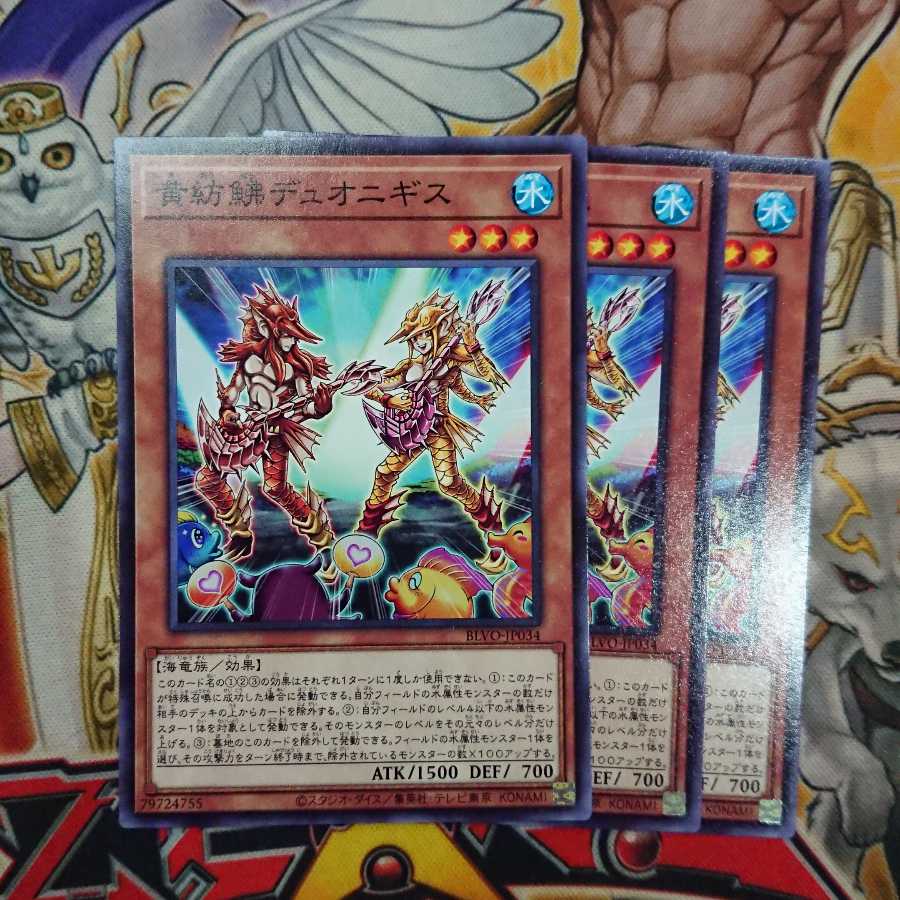 黄紡鮄デュオニギス ノーマル