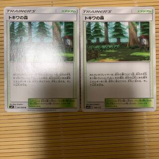 トキワの森美品