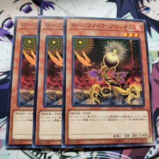 ローンファイア・ブロッサム