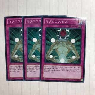 マクロコスモス