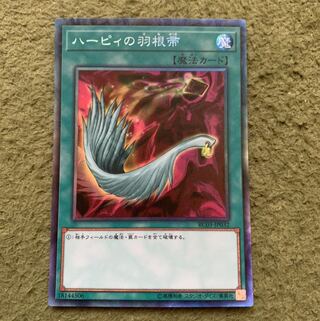 ハーピィの羽根帚 コレクターズレア