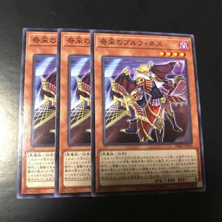 奇采のプルフィネス ノーマル