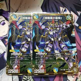 「綺羅星の豪傑」