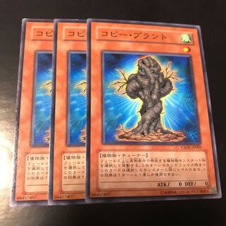 コピー・プラント ノーマル