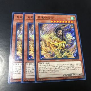 黄竜の忍者 ノーマル