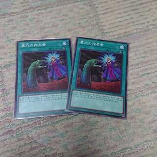 墓穴の指名者2枚