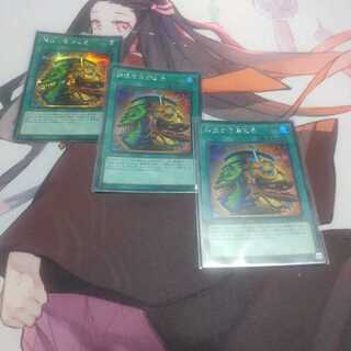 日版　強欲で金満な壺　シークレット　SAST