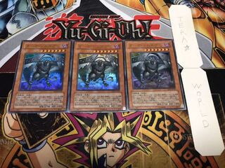 Darw Simurgh Ultra, Set of 3, Terra