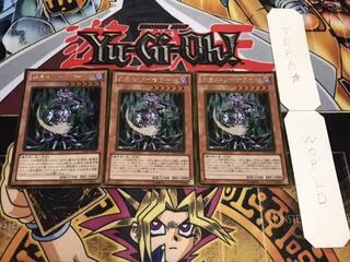 Chaos Sorcerer Gold, set of 3, Tera