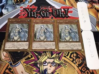 青き眼の乙女 ゴールド 3枚セット てら