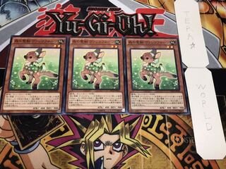 森の聖獣 ヴァレリフォーン ノーマル 3枚セット てら