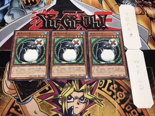 否定ペンギン ノーマル 3枚セット てら