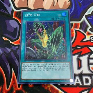 捕食活動 スーパーレア