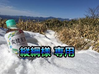 縦綱様 専用 1枚