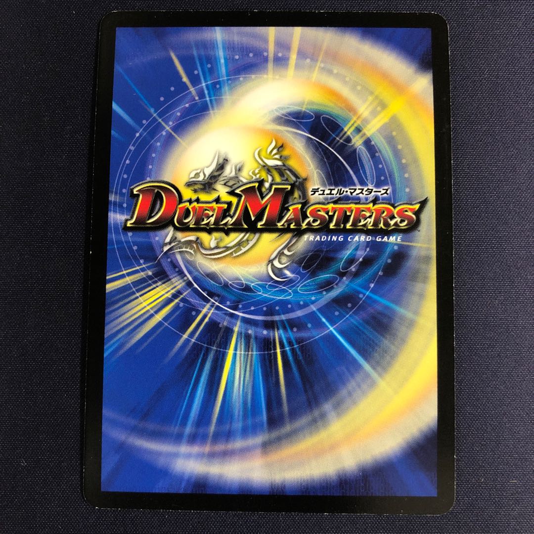 「智」の頂 レディオ・ローゼス