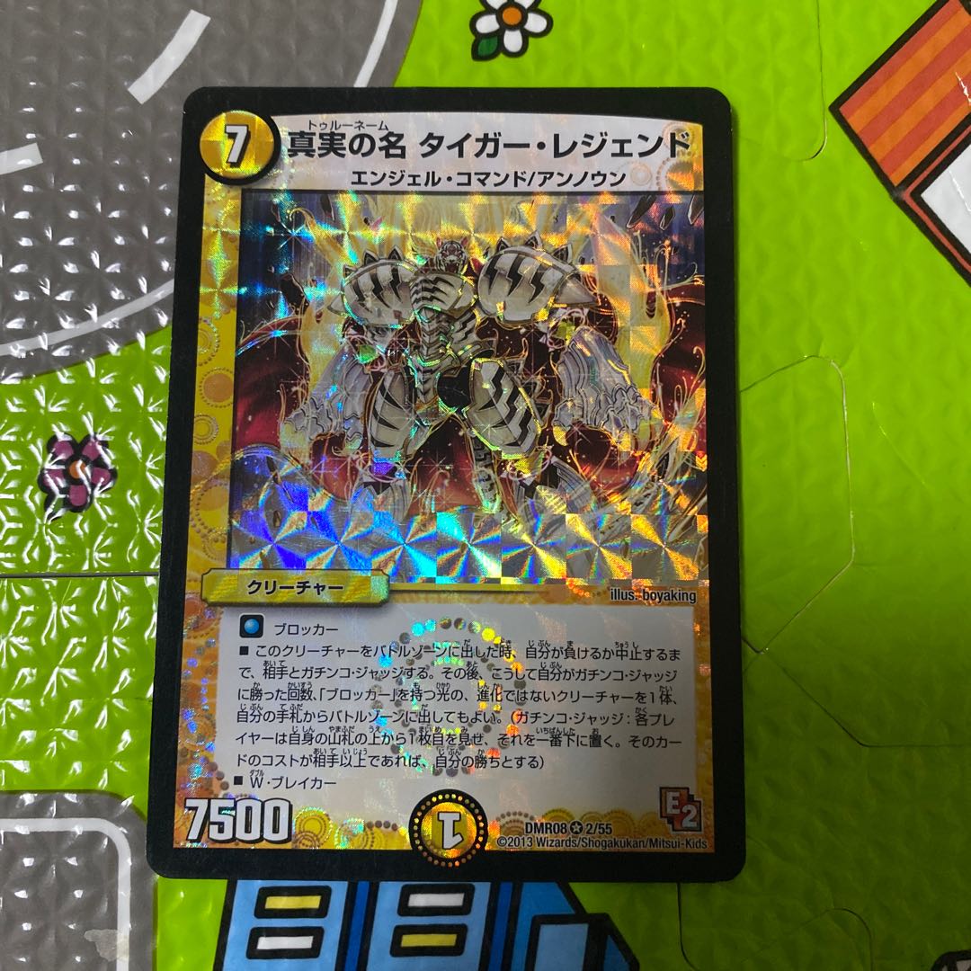 真実の名 タイガー・レジェンド