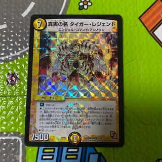 真実の名 タイガー・レジェンド