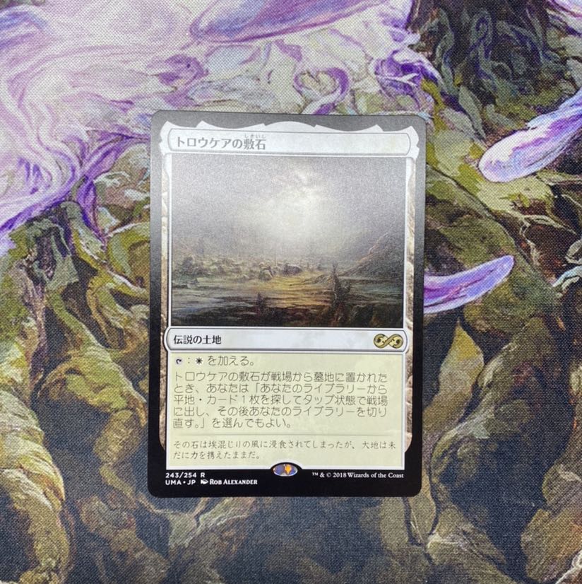 トロウケアの敷石