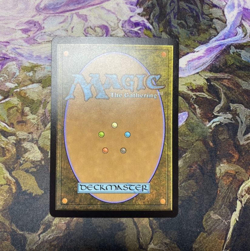 トロウケアの敷石