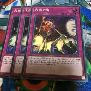 マドレース 大捕り物 スーパーレア