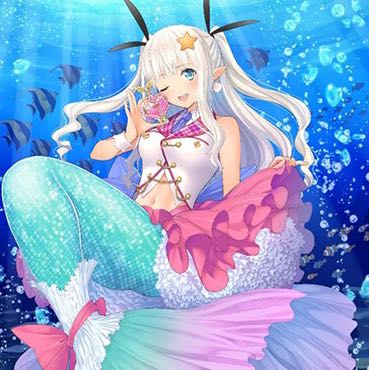 12/11 発売 バミューダ VR以下4コン pr、完全ガード各4枚付き