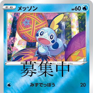 カナザワ　メッソン　募集中！