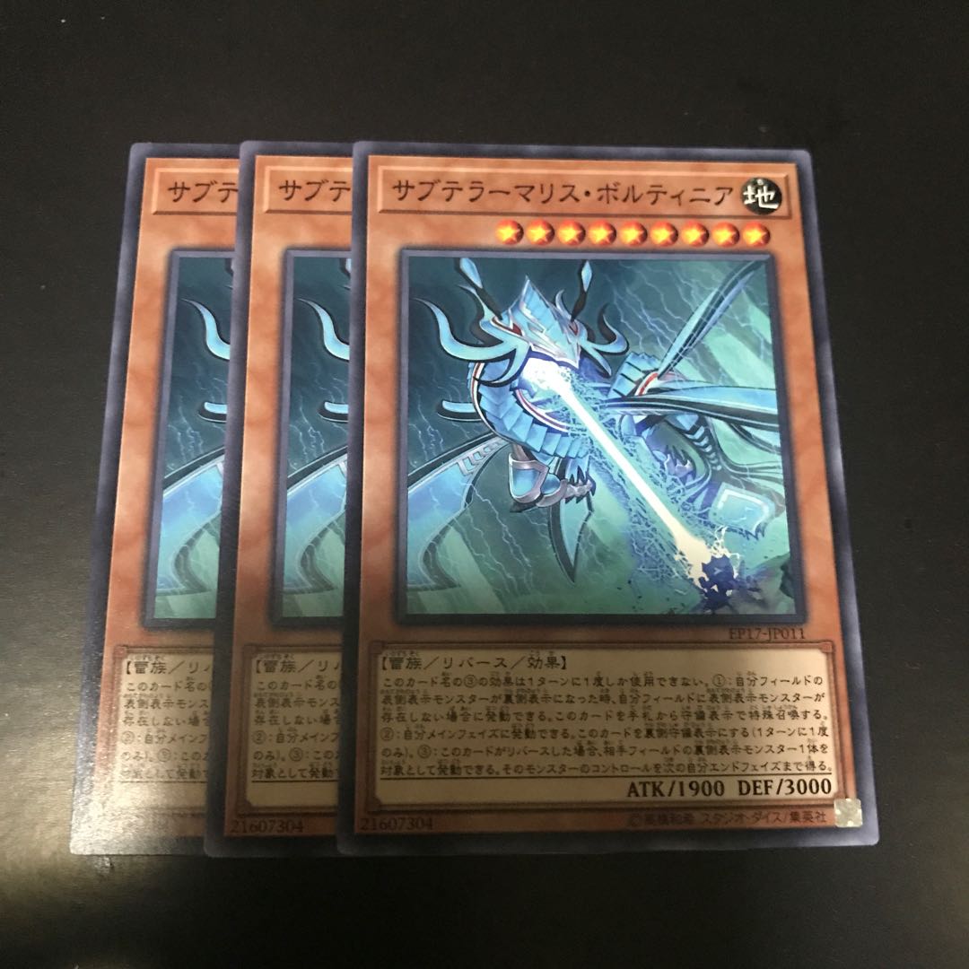 サブテラーマリス・ボルティニア ノーマル