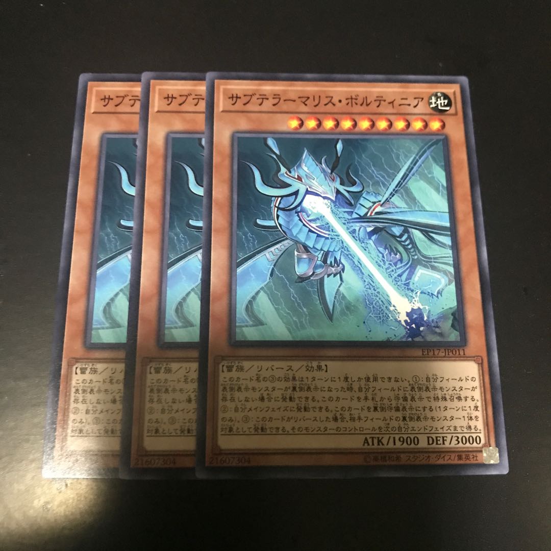 サブテラーマリス・ボルティニア ノーマル