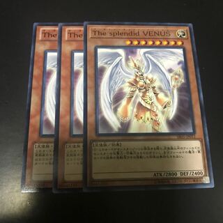 The splendid VENUS ノーマル