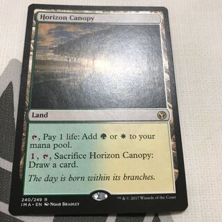 地平線の梢 英語