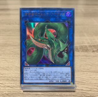 捕食植物ヴェルテ・アナコンダ