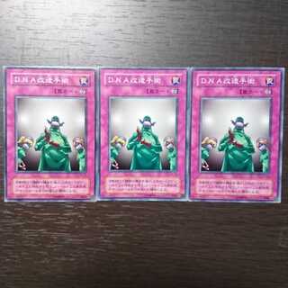 DNA改造手術 ノーマル