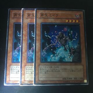 再生ミイラ ノーマル