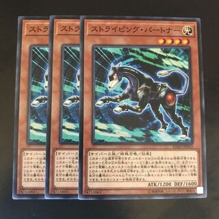 ストライピング・パートナー ノーマル