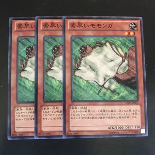 素早いモモンガ ノーマル