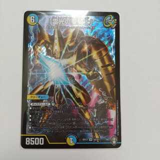 「雷光の聖騎士」