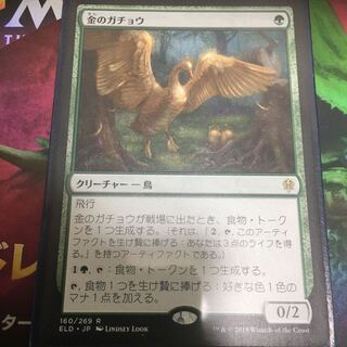 専用 金のガチョウ