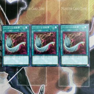 ハーピィの羽根帚 ノーマル