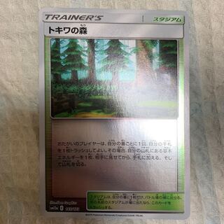 トキワの森ミラー