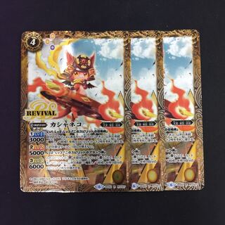 カシャネコ リバイバル 3枚