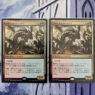 Savageborn Hydra Japanese 2 copies 1枚