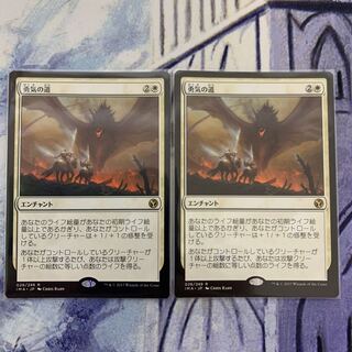 Path of Bravery Japanese 2 copies 1枚