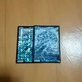 シャコガイルシク2枚セット