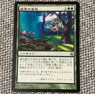 【トイゴジラさん専用】風景の変容［MOR］