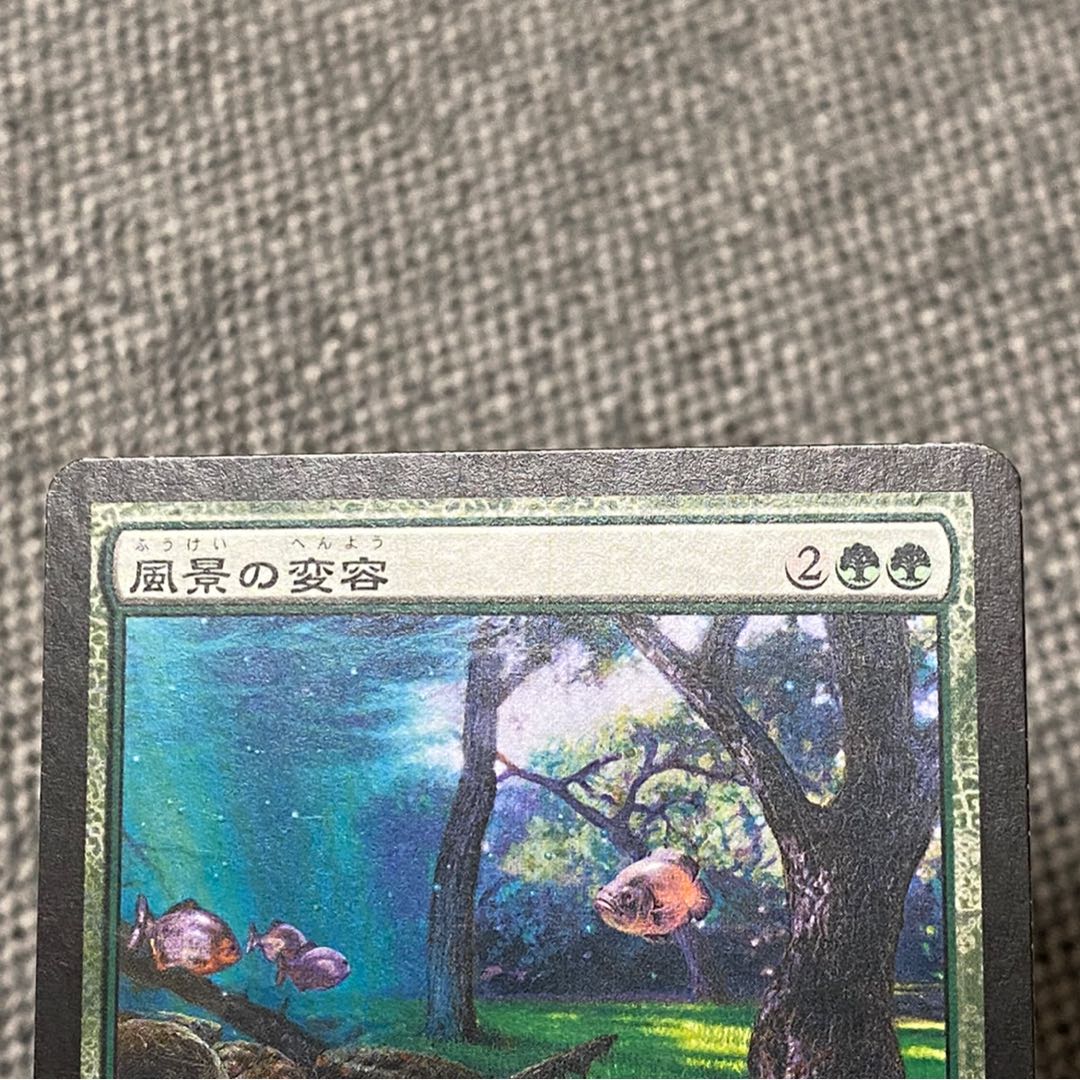 【トイゴジラさん専用】風景の変容［MOR］