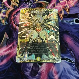 最安値 煌龍 サッヴァーク SE3